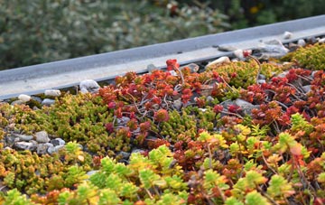 the cost of Longdon On Tern green roof installation