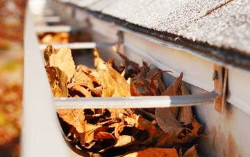 Longdon On Tern gutter cleaning companies