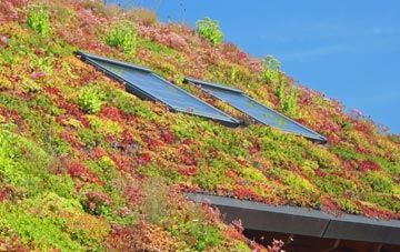 Longdon On Tern living roof systems