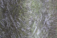 Longdon On Tern fibreglass roof work